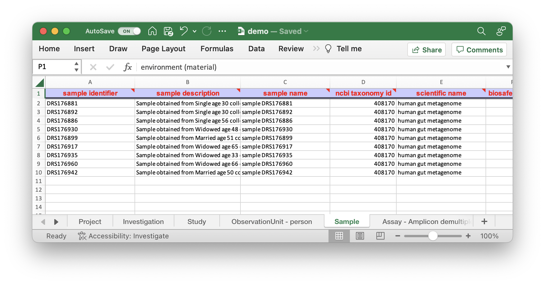 Excel metadata file